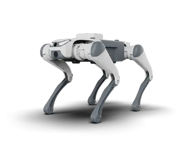Quadruped robot SID1/Lite3 | 12 dof